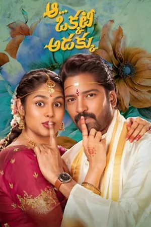 Aa Okkati Adakku 2024 Hindi Dual Audio HD Poster Download - Filmyzilla