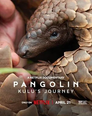 Pangolin: Kulu’s Journey 2025 Hindi Dual Audio HD Poster Download - Filmyzilla