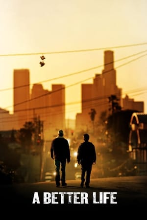 A Better Life (2011) Hindi Dual Audio 300MB HD Poster Download - Filmyzilla