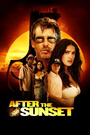 After The Sunset (2004) Hindi Dual Audio 320MB HD Poster Download - Filmyzilla