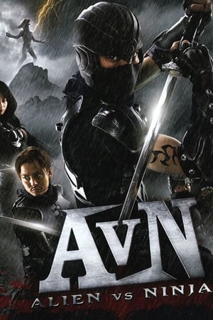 Alien vs Ninja 2010 Hindi Dual Audio 270MB HD Poster Download - Filmyzilla
