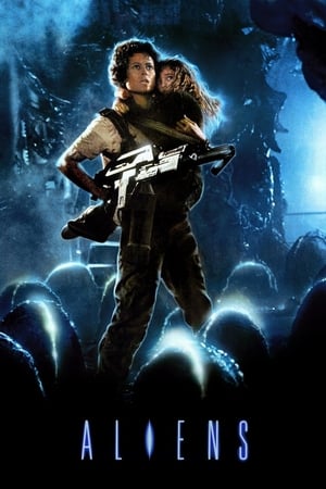 Aliens (1986) Hindi Dual Audio 550MB HD Poster Download - Filmyzilla