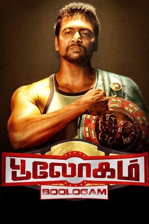 Bhaigiri 2 2018 Hindi Dubbed [980MB] HD Poster Download - Filmyzilla