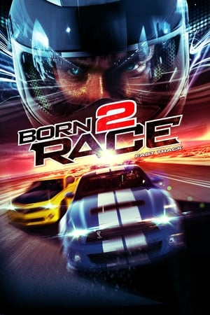 Born to Race Fast Track 2014 Hindi Dual Audio [840MB] HD Poster Download - Filmyzilla