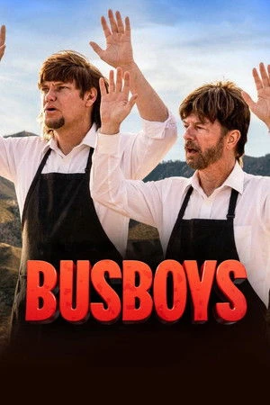 Busboys 2026 Hindi Dual Audio HD Poster Download - Filmyzilla