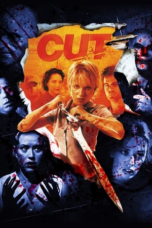 Cut (2000) Hindi Dual Audio 300MB HD Poster Download - Filmyzilla