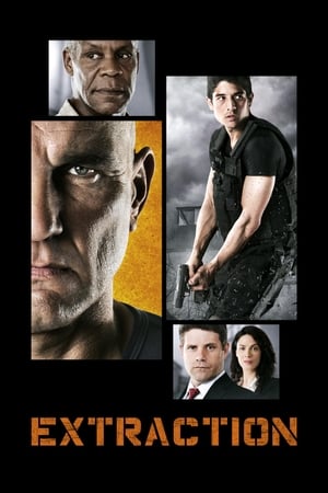 Extraction 2013 Hindi Dual Audio [1.4GB] HD Poster Download - Filmyzilla