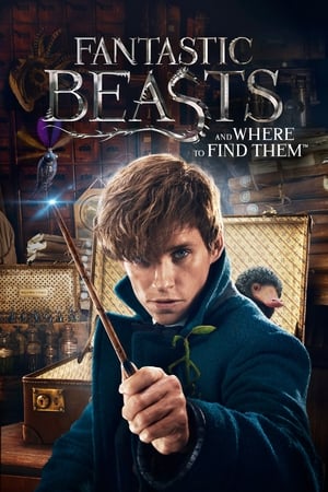 Fantastic Beasts and Where to Find Them 2016 HD- [600MB] HD Poster Download - Filmyzilla