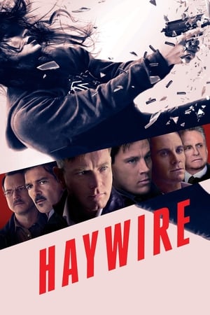 Haywire (2011) Hindi Dual Audio [700MB] HD Poster Download - Filmyzilla