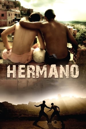 Hermano 2010 Hindi Dual Audio [1.2GB] HD Poster Download - Filmyzilla