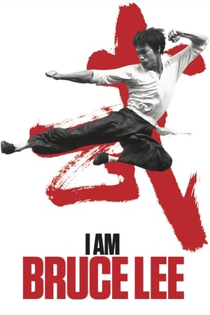 I Am Bruce Lee 2012 Hindi Dual Audio [850MB] Download HD Poster Download - Filmyzilla