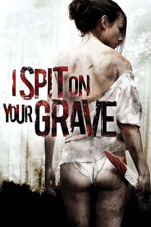I Spit on Your Grave 2010 Hindi Dual Audio 330MB HD Poster Download - Filmyzilla
