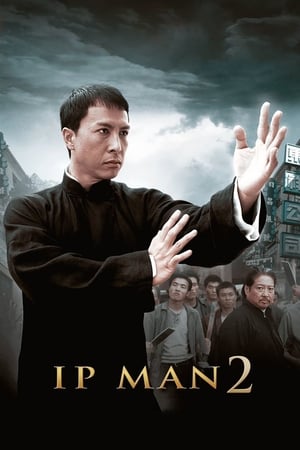 Ip Man 2 (2010) Hindi Dual Audio [1GB] HD Poster Download - Filmyzilla