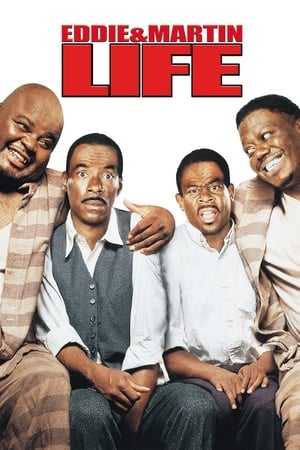 Life (1999) Hindi Dual Audio 350MB HD Poster Download - Filmyzilla