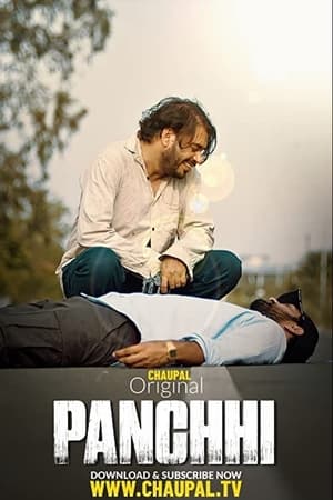 Panchhi 2021 Punjabi Audio HD Poster Download - Filmyzilla