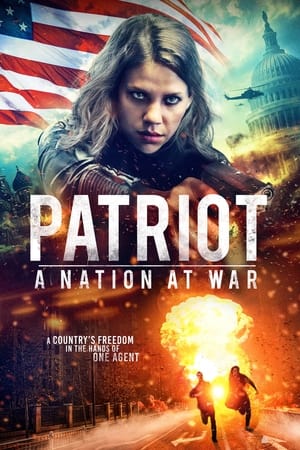 Patriot A Nation at War 2020 Hindi Dual Audio [930MB] HD Poster Download - Filmyzilla