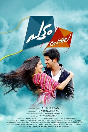 Pattam Pole (2013) (Hindi – Malayalam) Dual Audio [1.2GB] HD Poster Download - Filmyzilla