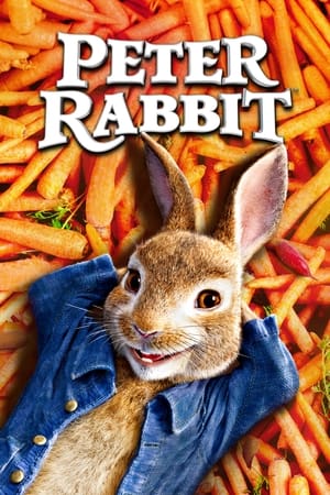 Peter Rabbit (2018) Hindi Dual Audio [1.1GB] HD Poster Download - Filmyzilla