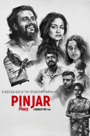 Pinjar 2026 Hindi Line HQ HD Poster Download - Filmyzilla