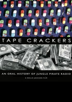 Pirate Radio (2009) Hindi Dual Audio [1GB] HD Poster Download - Filmyzilla
