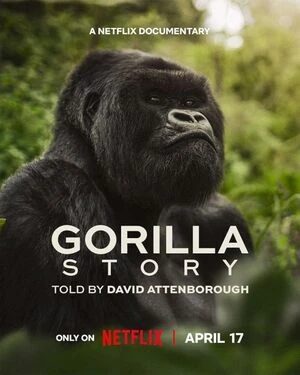 A Gorilla Story Told By David Attenborough 2026 English Audio HD Poster Download - Filmyzilla