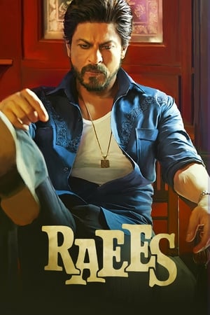 Raees (2017) Full Movie [1.0GB] Download HD Poster Download - Filmyzilla