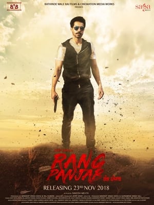 Rang Panjab (2018) Punjabi Movie – [350MB] HD Poster Download - Filmyzilla