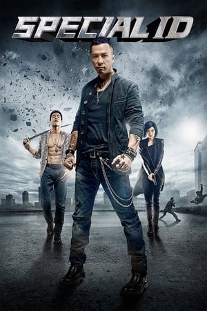 Special ID (2013) Hindi Dual Audio [150MB] HD Poster Download - Filmyzilla