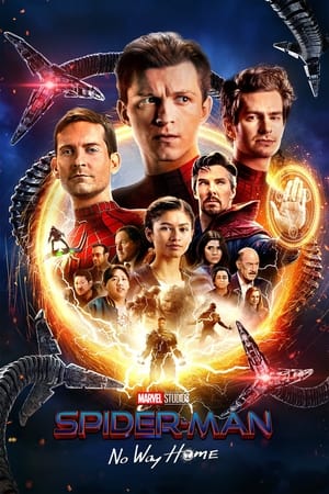 Spider-Man: No Way Home (2021) Hindi (ORG) Dual Audio – HD Poster Download - Filmyzilla