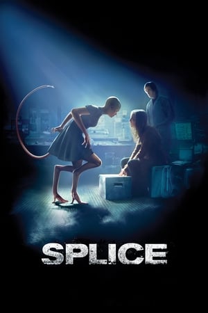 Splice 2009 Hindi Dual Audio [1.3GB] HD Poster Download - Filmyzilla
