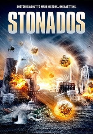 Stonados (2013) Hindi Dual Audio 300MB HD Poster Download - Filmyzilla