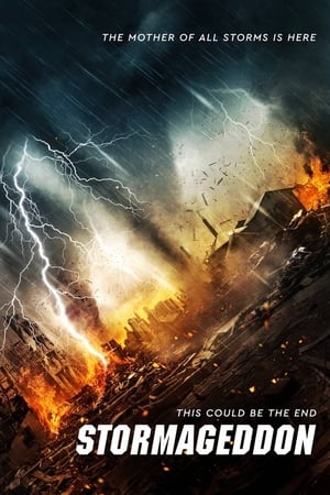 Stormageddon (2015) Hindi Dual Audio [1.1GB] HD Poster Download - Filmyzilla
