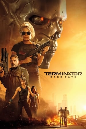 Terminator: Dark Fate (2019) Hindi (Org) Dual Audio 400MB HD Poster Download - Filmyzilla