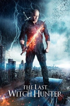 The Last Witch Hunter (2015) Hindi Dual Audio [940MB] HD Poster Download - Filmyzilla