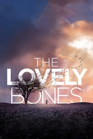 The Lovely Bones (2009) Hindi Dual Audio [1GB] HD Poster Download - Filmyzilla