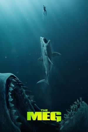 The Meg (2018) Hindi (Org) Dual Audio [1.1GB] HD Poster Download - Filmyzilla