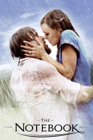 The Notebook 2004 Dual Audio Hindi 400MB HD Poster Download - Filmyzilla