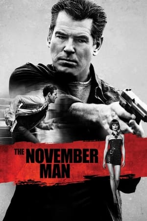 The November Man 2014 Dual Audio [Hindi - English] 350MB HD Poster Download - Filmyzilla