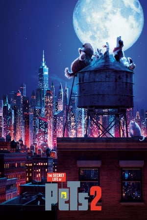 The Secret Life of Pets 2 (2019) Hindi (Original) Dual Audio 300MB HD Poster Download - Filmyzilla