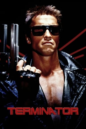 The Terminator (1984) Hindi Dual Audio [800MB] HD Poster Download - Filmyzilla