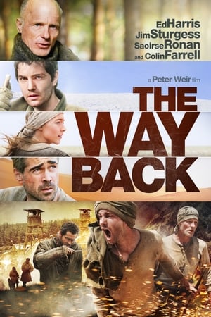 The Way Back (2010) Hindi Dual Audio 400MB HD Poster Download - Filmyzilla