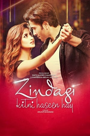 Zindagi Kitni Haseen Hay (2016) Pakistani Movie [980MB] HD Poster Download - Filmyzilla